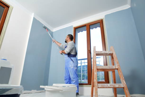 Best Basement Mold Removal  in Inver Grove Heights, MN