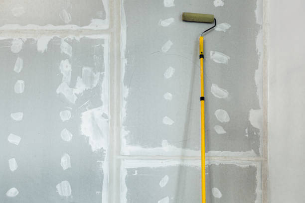Best Residential Mold Inspection & Testing  in Inver Grove Heights, MN