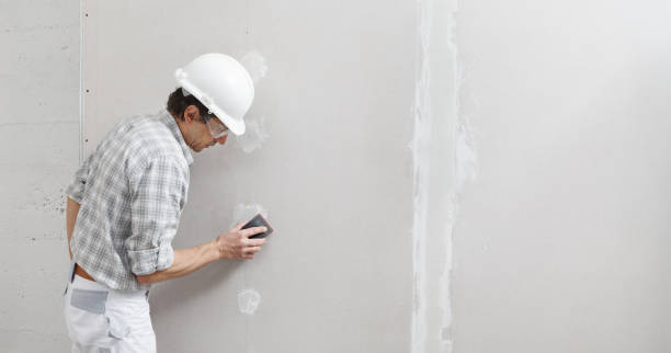 Best Biohazard Mold Removal  in Inver Grove Heights, MN