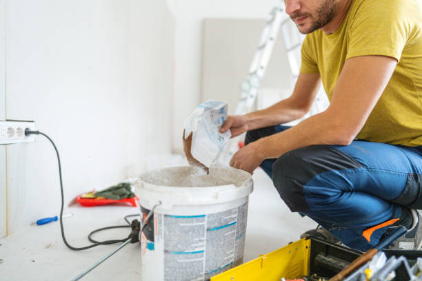 Best Asbestos and Lead Testing During Mold Inspection  in Inver Grove Heights, MN