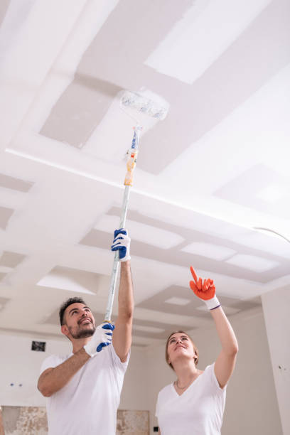 Best Water Damage & Mold Remediation  in Inver Grove Heights, MN