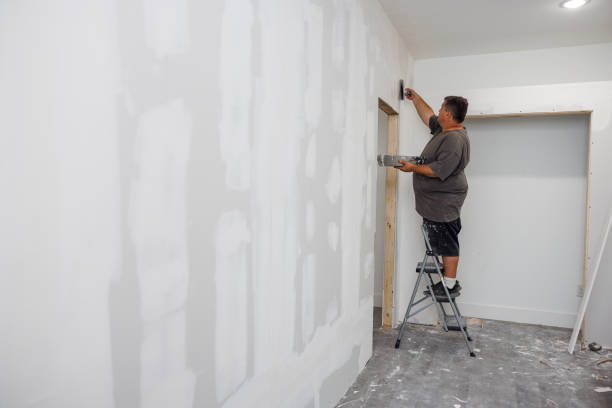 Reliable Inver Grove Heights, MN Mold Removal Solutions