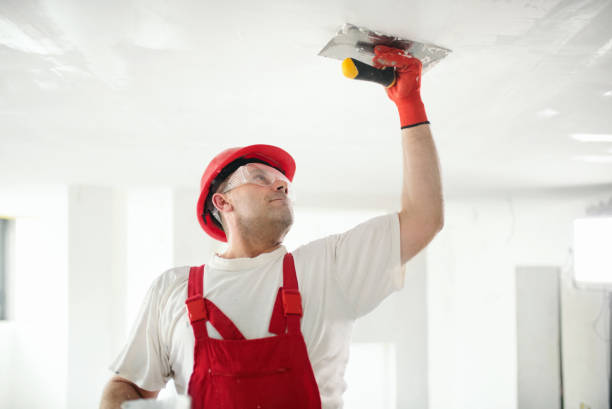 Best Mold Documentation for Insurance Claims  in Inver Grove Heights, MN