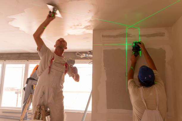 Best Commercial Mold Inspection  in Inver Grove Heights, MN