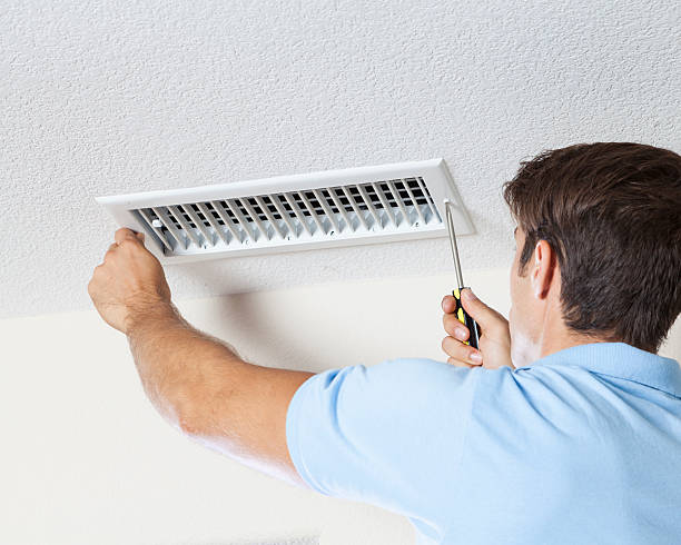 Environmental Consulting for Mold Prevention in Inver Grove Heights, MN