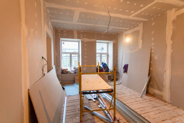 Best Post-Construction Mold Inspection  in Inver Grove Heights, MN
